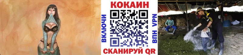 купить наркотики цена  Иркутск  Кокаин 98% 
