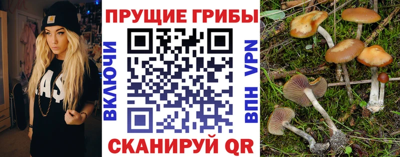 hydra вход  даркнет сайт  Иркутск  Псилоцибиновые грибы ЛСД 