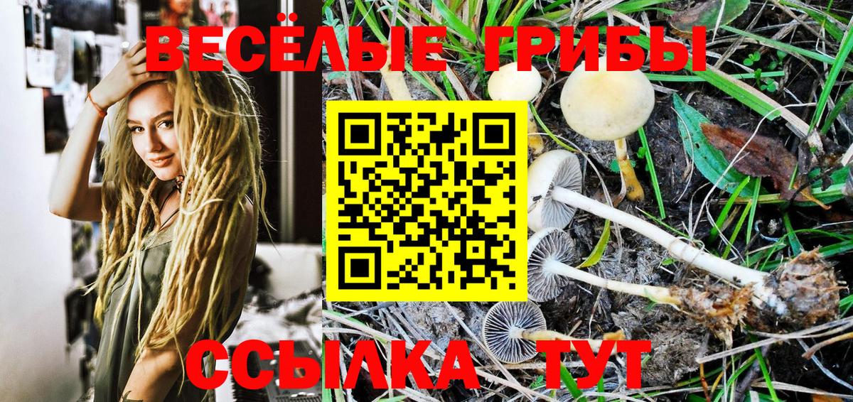 Галлюциногенные грибы Psilocybine cubensis  где найти   Иркутск  Вход с VPN 