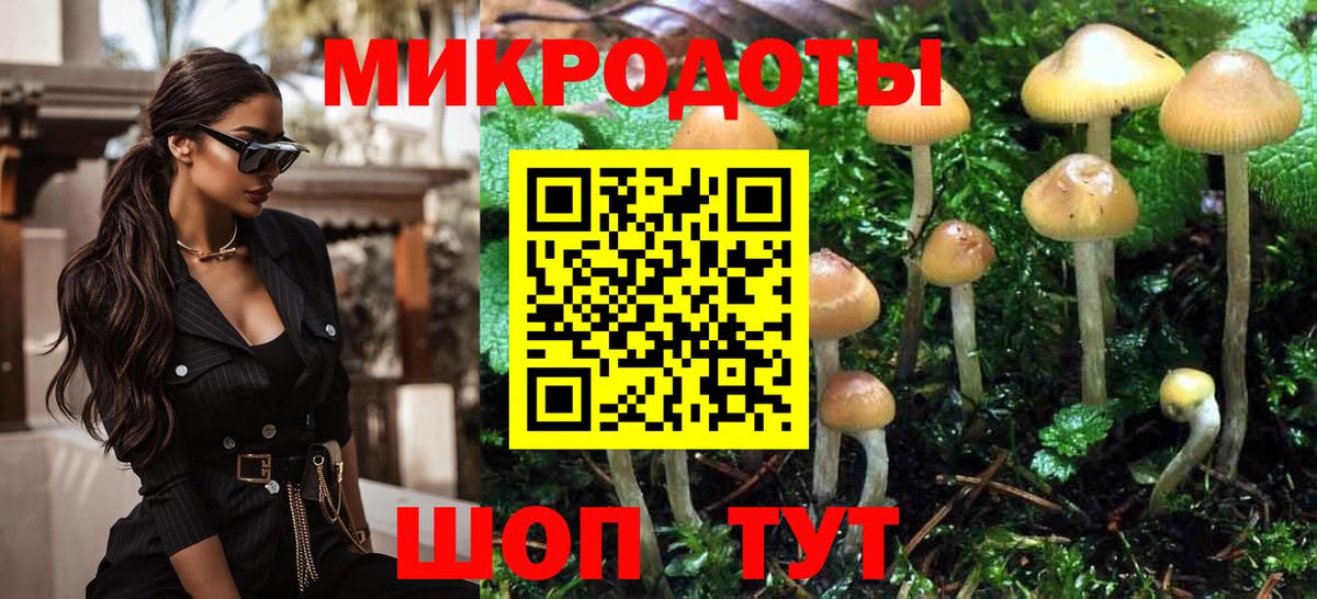 Галлюциногенные грибы Psilocybine cubensis Иркутск